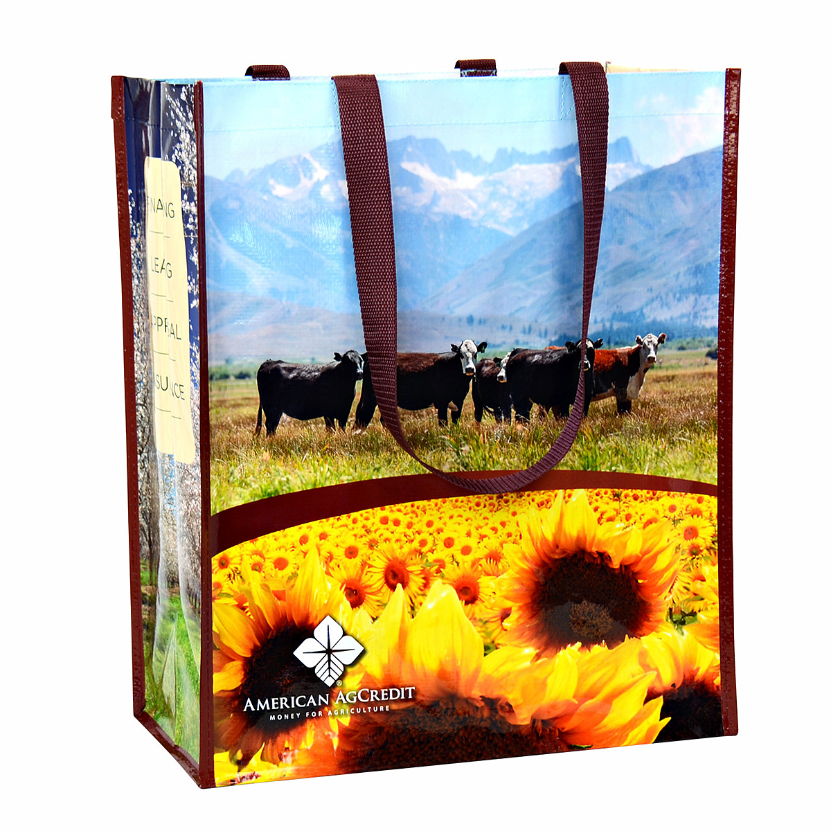 Custom Full-Color 145g Laminated Woven Grocery Bag 14"x17"x8" 1