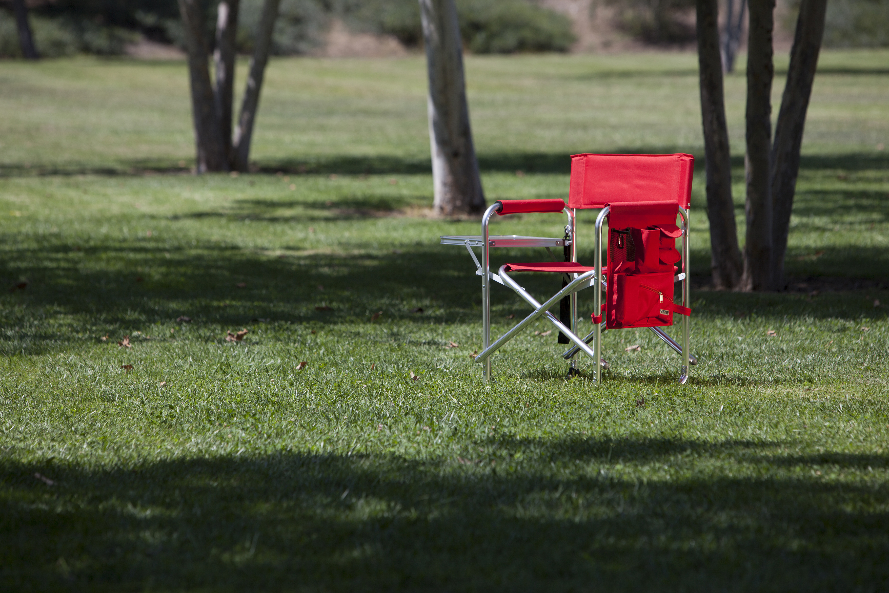 Sports Chair with Side Table 12