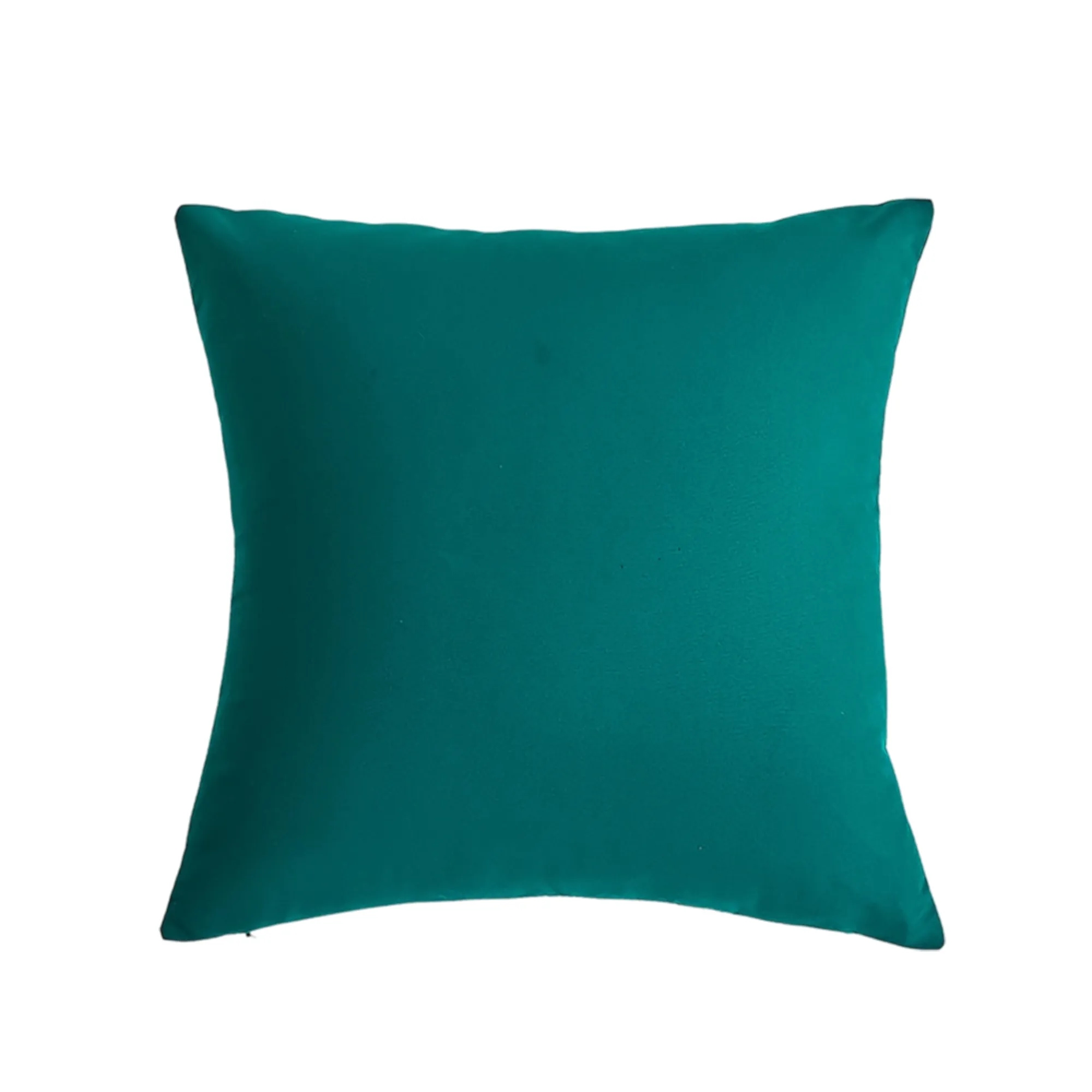 Velvet 18x18 Pillow Cover 10