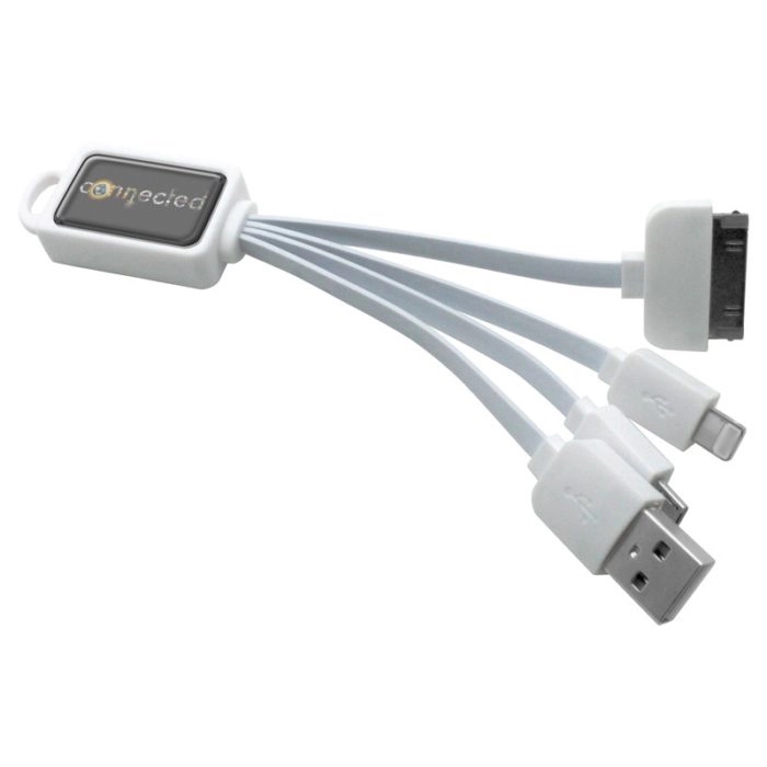 Epoxy 4-N-1 Charge Cable 6