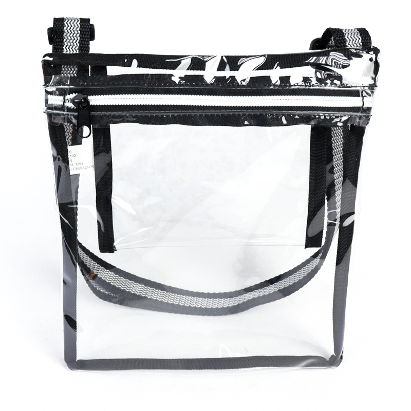 Eco Friendly Clear Purse/ Satchel 2