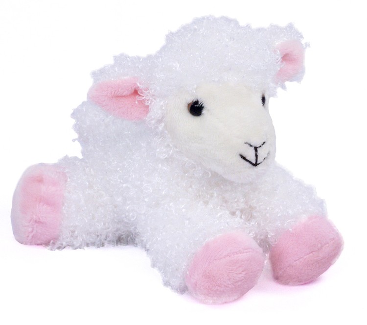 8" Lana Lamb 2