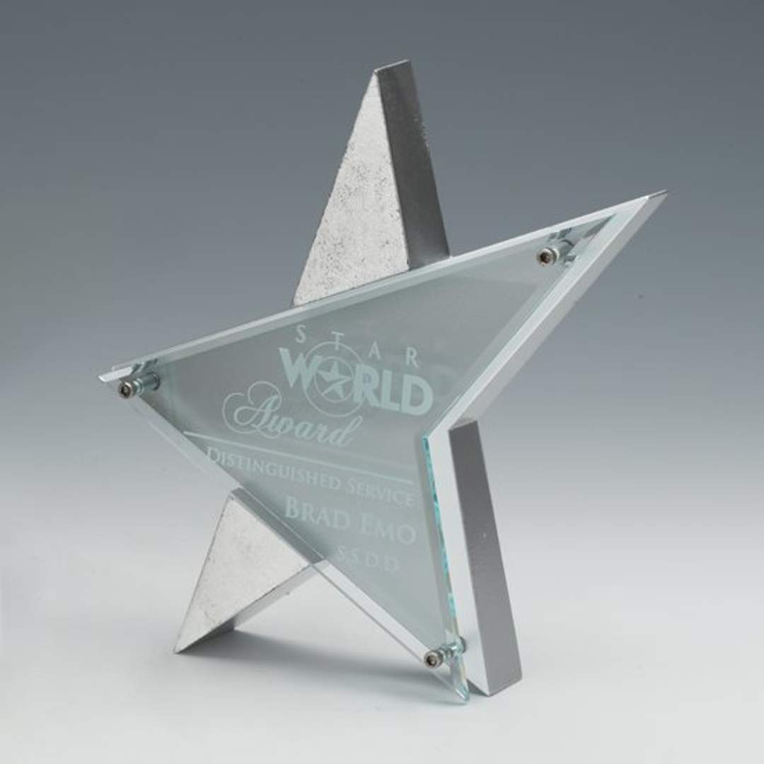 Stellar Award 6