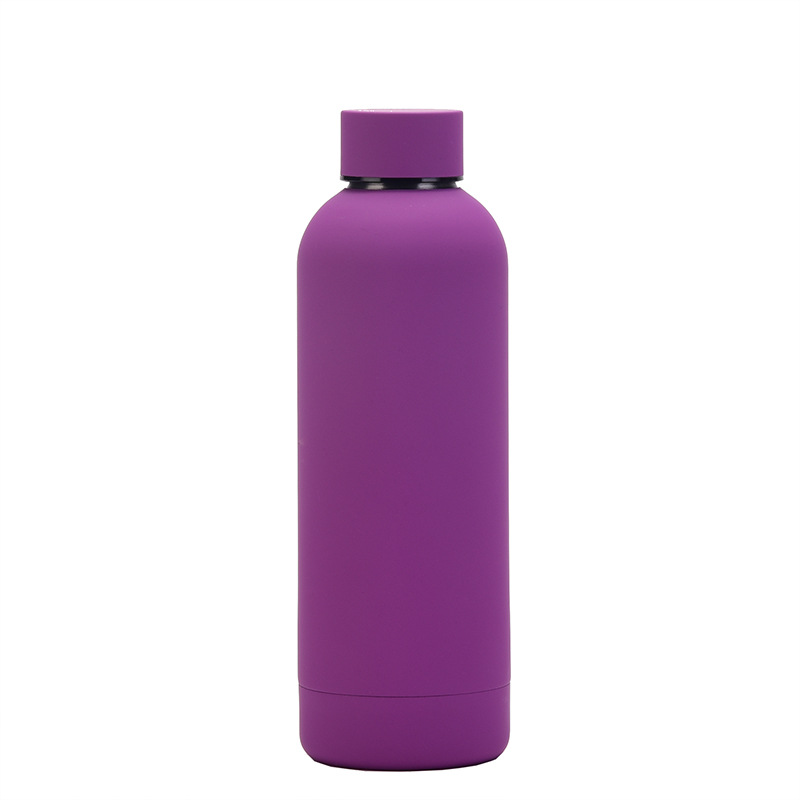 Stainless Steel Water Bottle 15