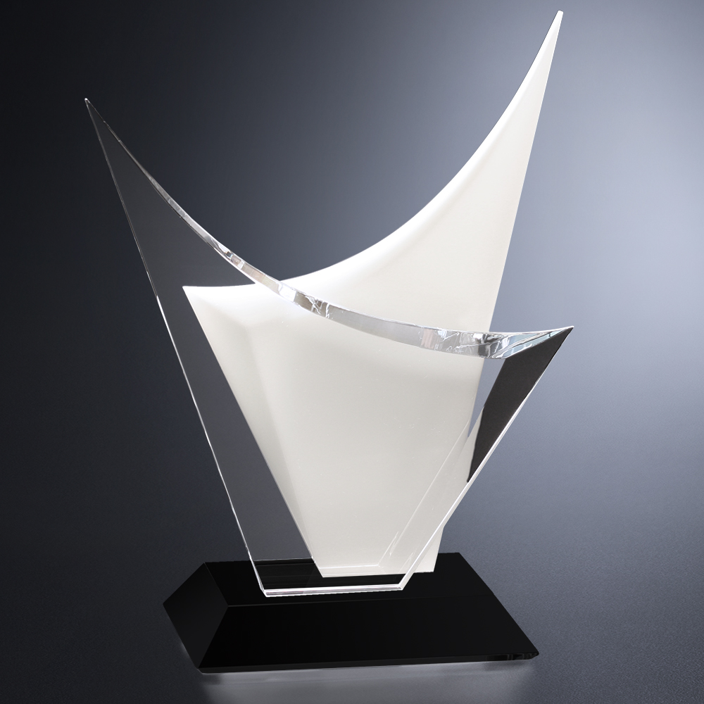 Voyager Award 6