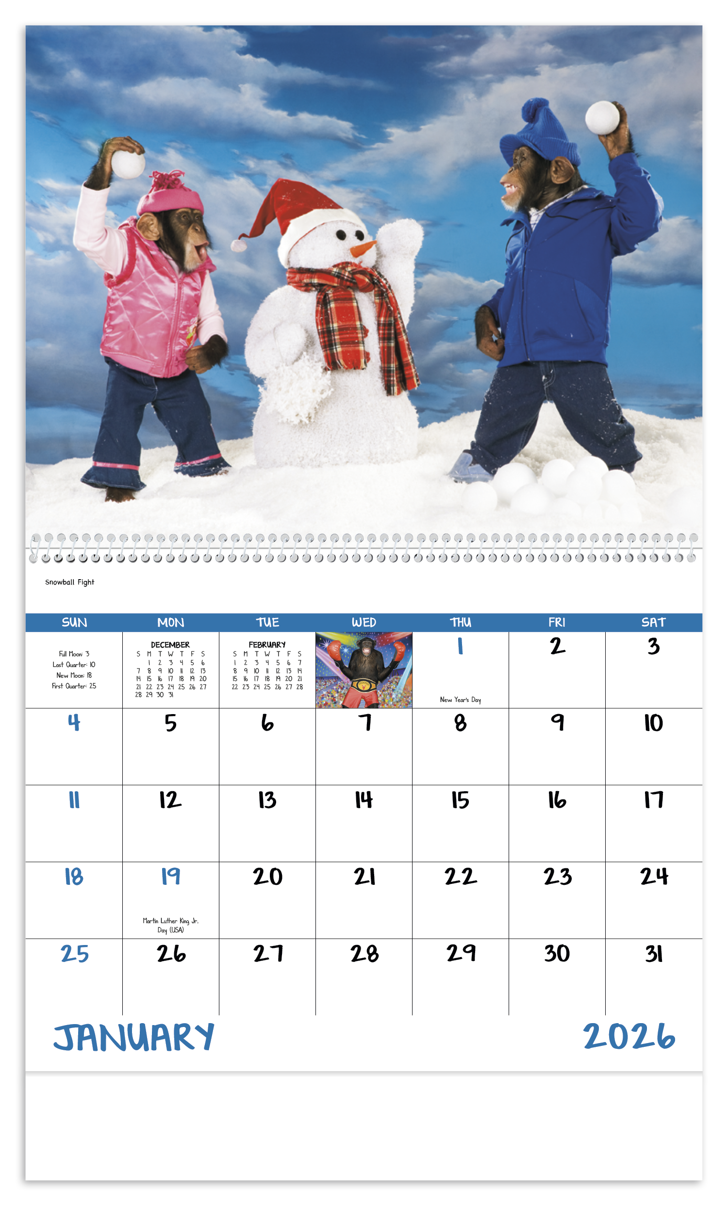 Good Value™ Monkey Mischief - Spiral Calendar 8
