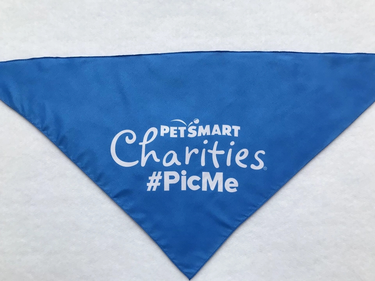 Polyester Bandanas for Dogs - Large 6