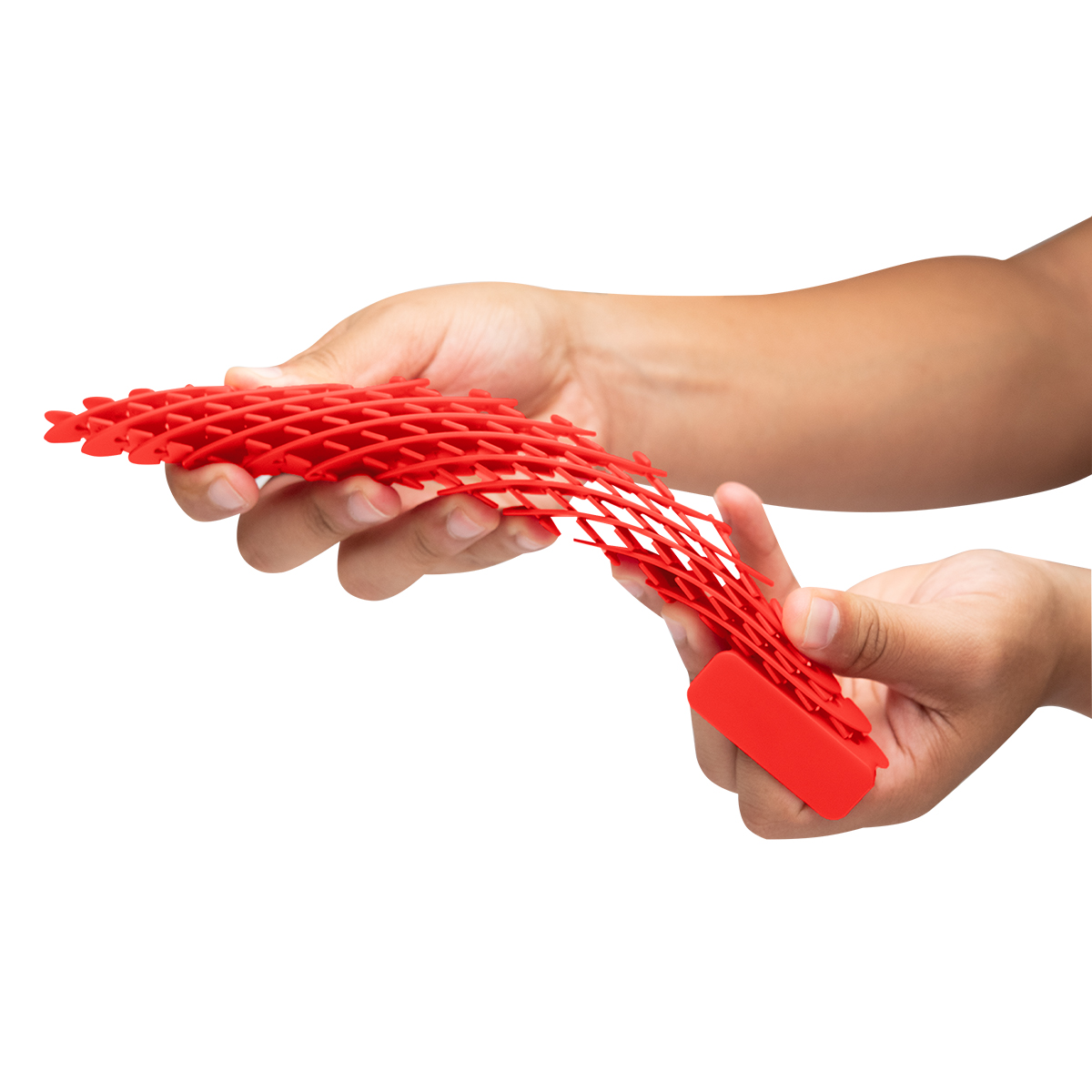 Fidget Sensory Worm 24
