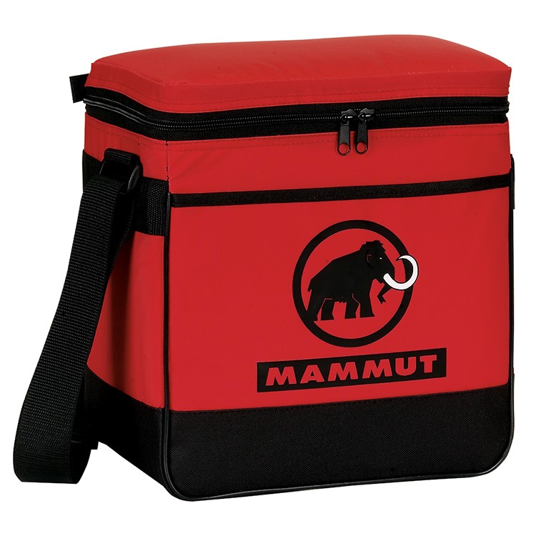 Insulated 12 Pack Cooler 14