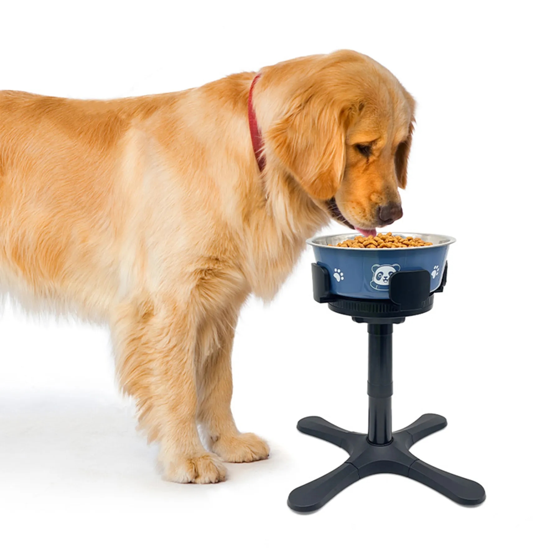Abs Adjustable Height Bracket Dog Bowl 1