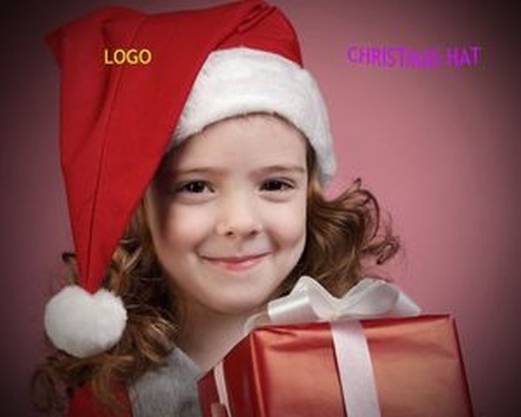 Christmas Hat 1