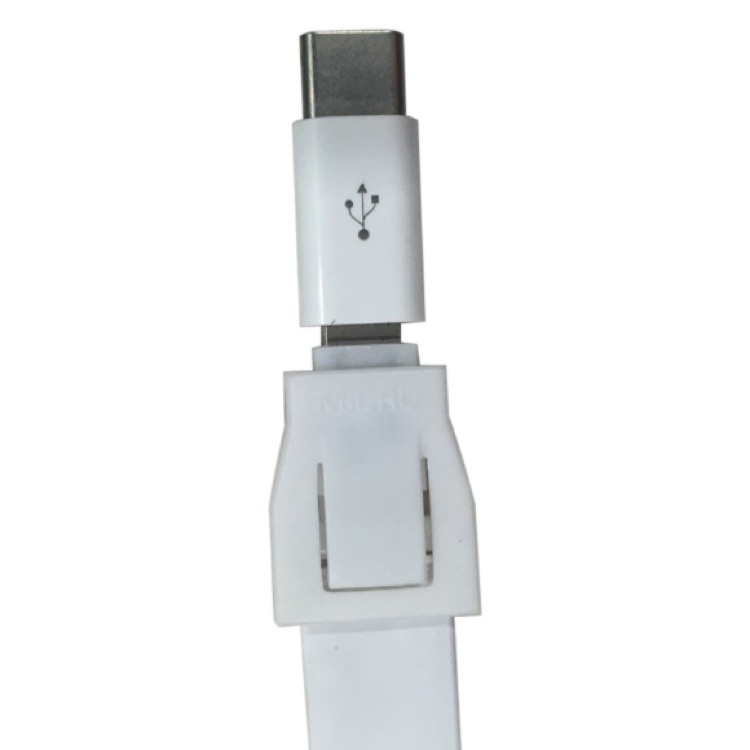 Type C Adapter 1