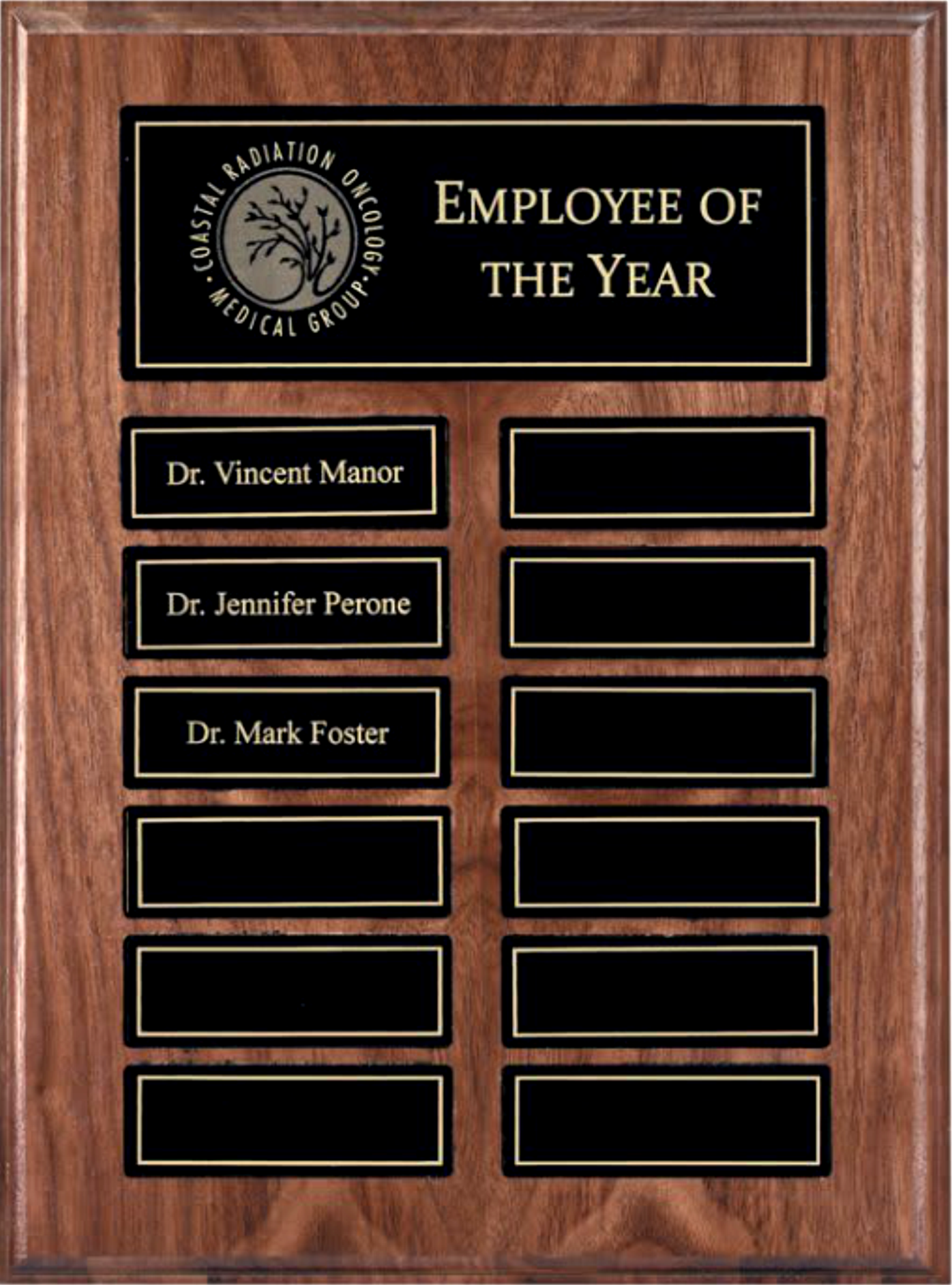 Recognition Pocket 12 Plate Perpetual Plaque (9" x 12") 2