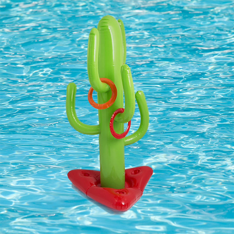 Inflatabel Cactus Ring Toss Game 7