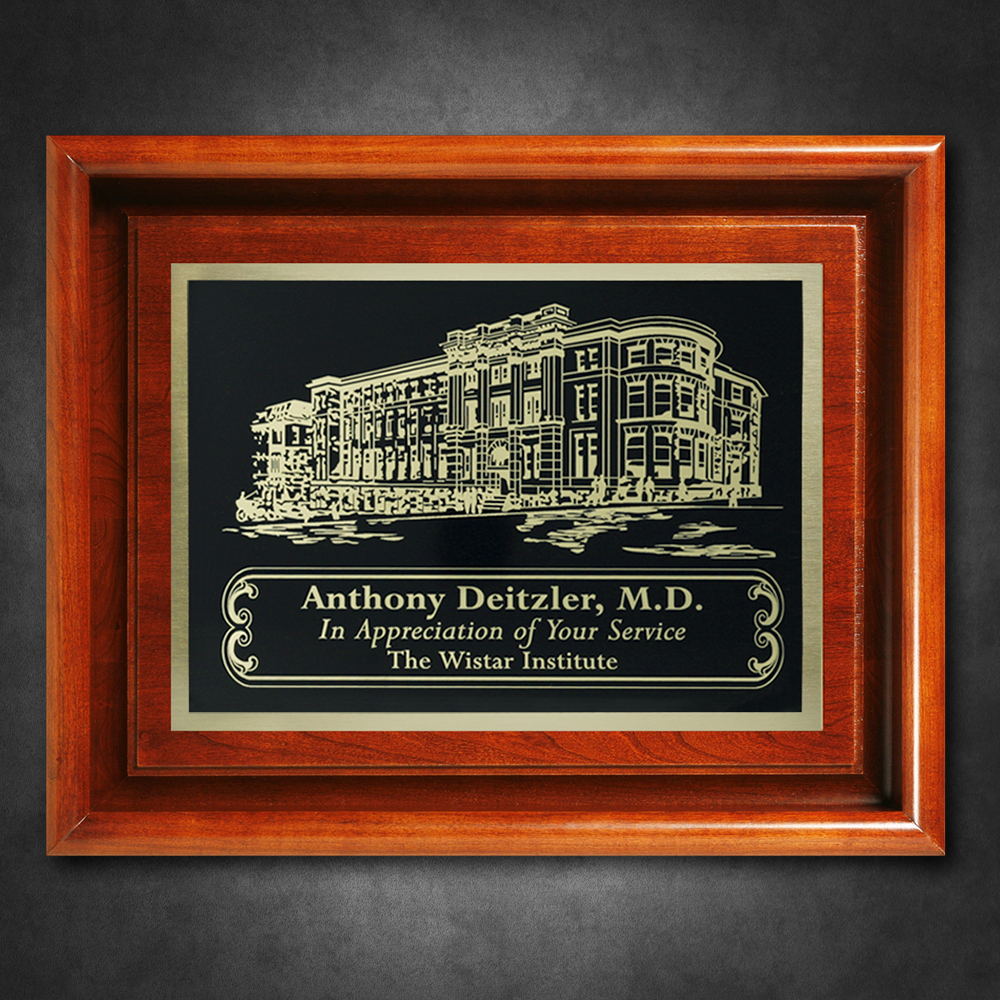 Americana Shadow Box without Glass 3