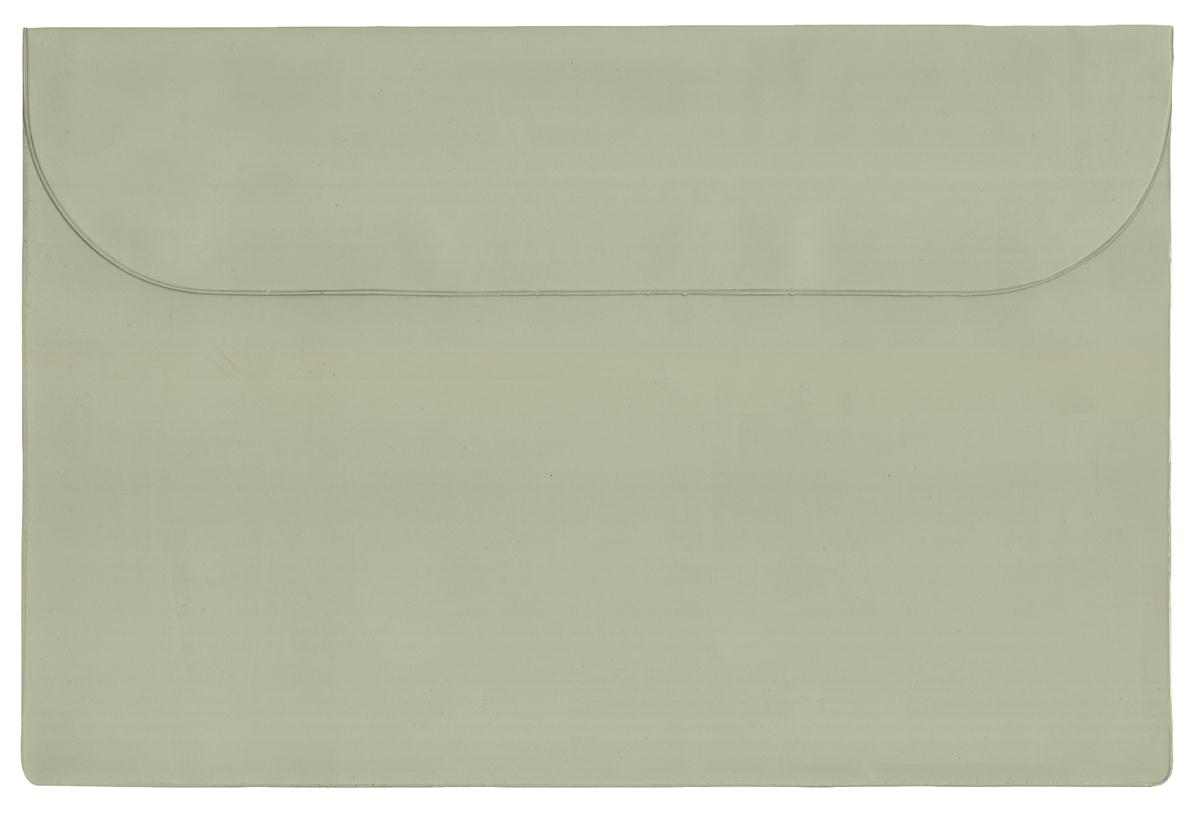 Standard Vinyl Underarm Portfolio 31