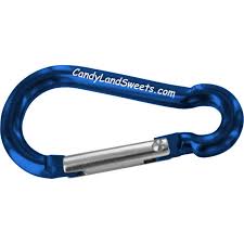 Refined Carabiner Clip Keychain 19