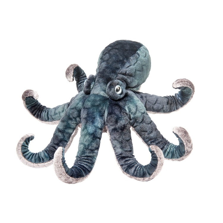 Winky Octopus 1