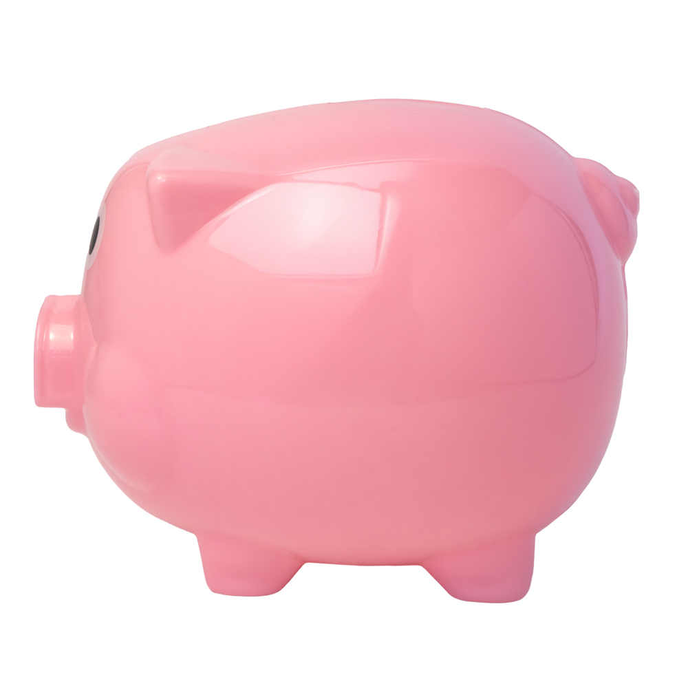 Pig Coin Bank 5