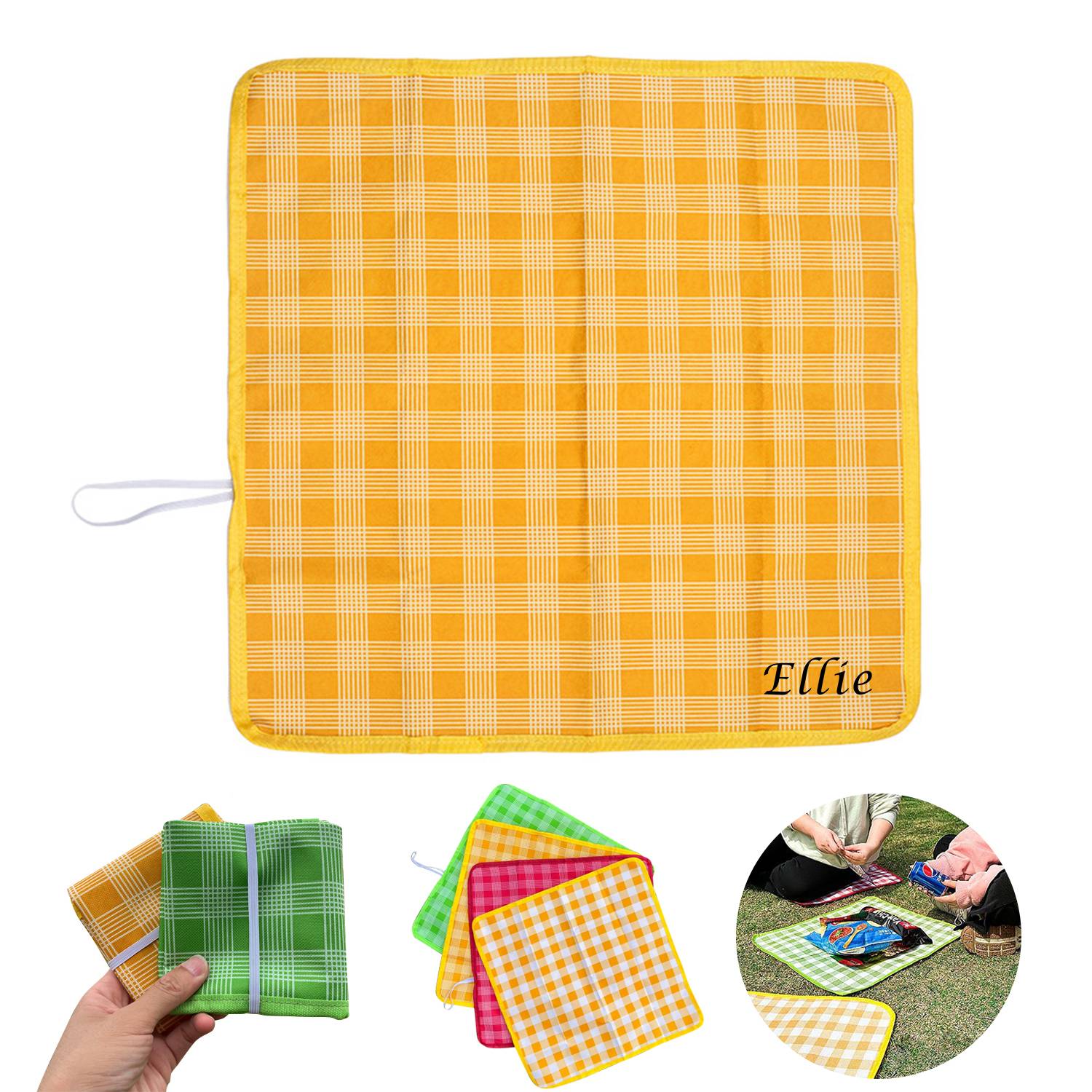 Convenient picnic mat
