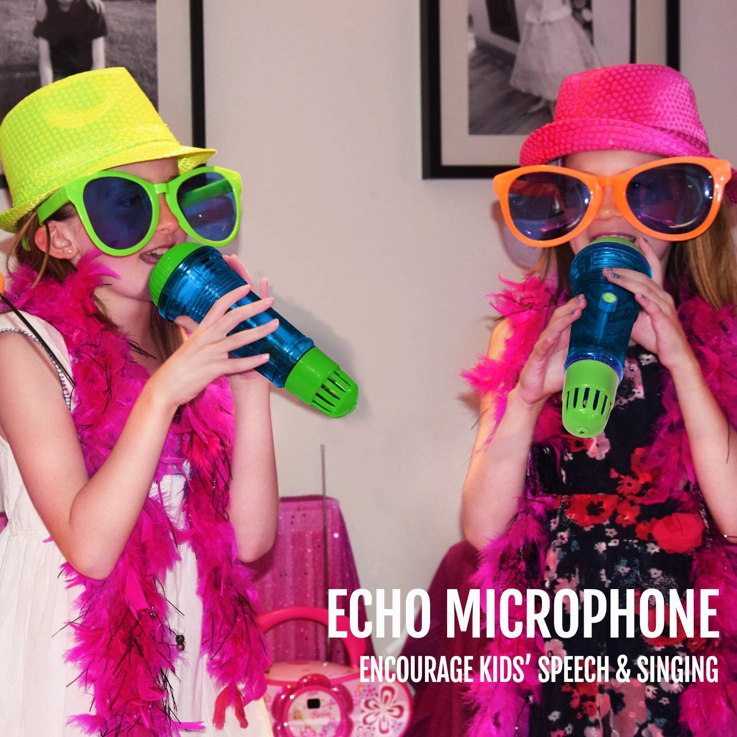 Echo Microphone 3