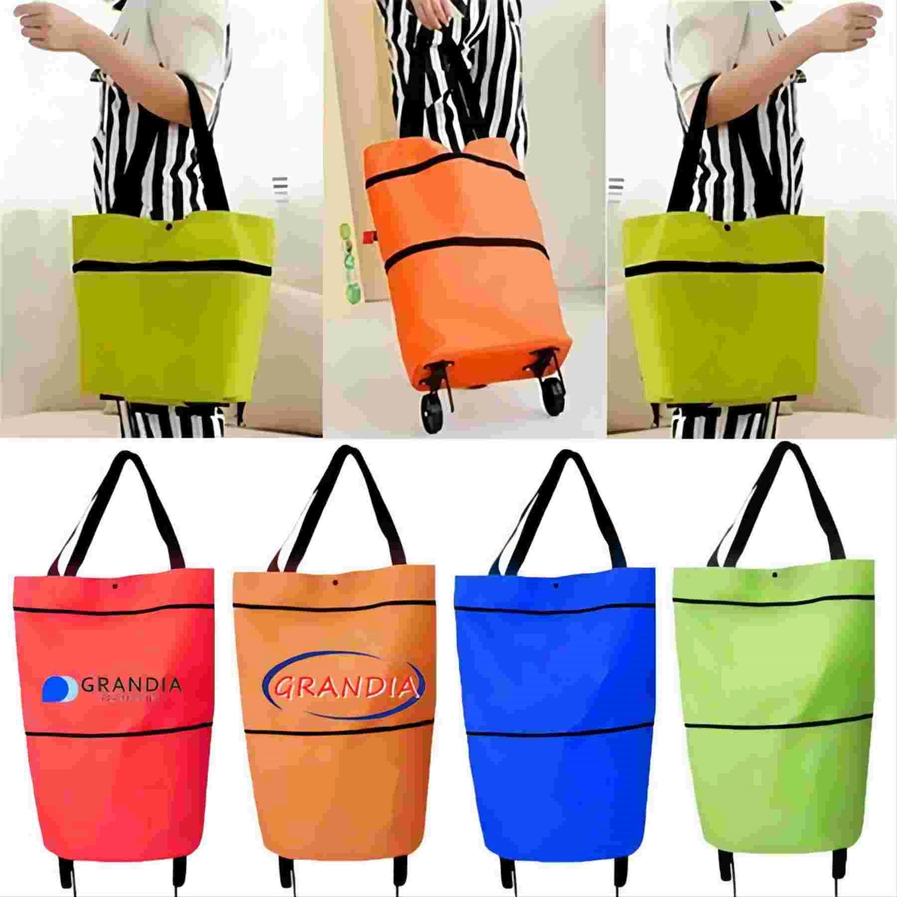Foldable Shopping Cart 1