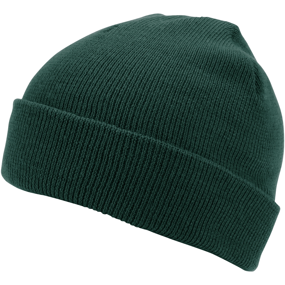 Polar Cuff Beanie 2