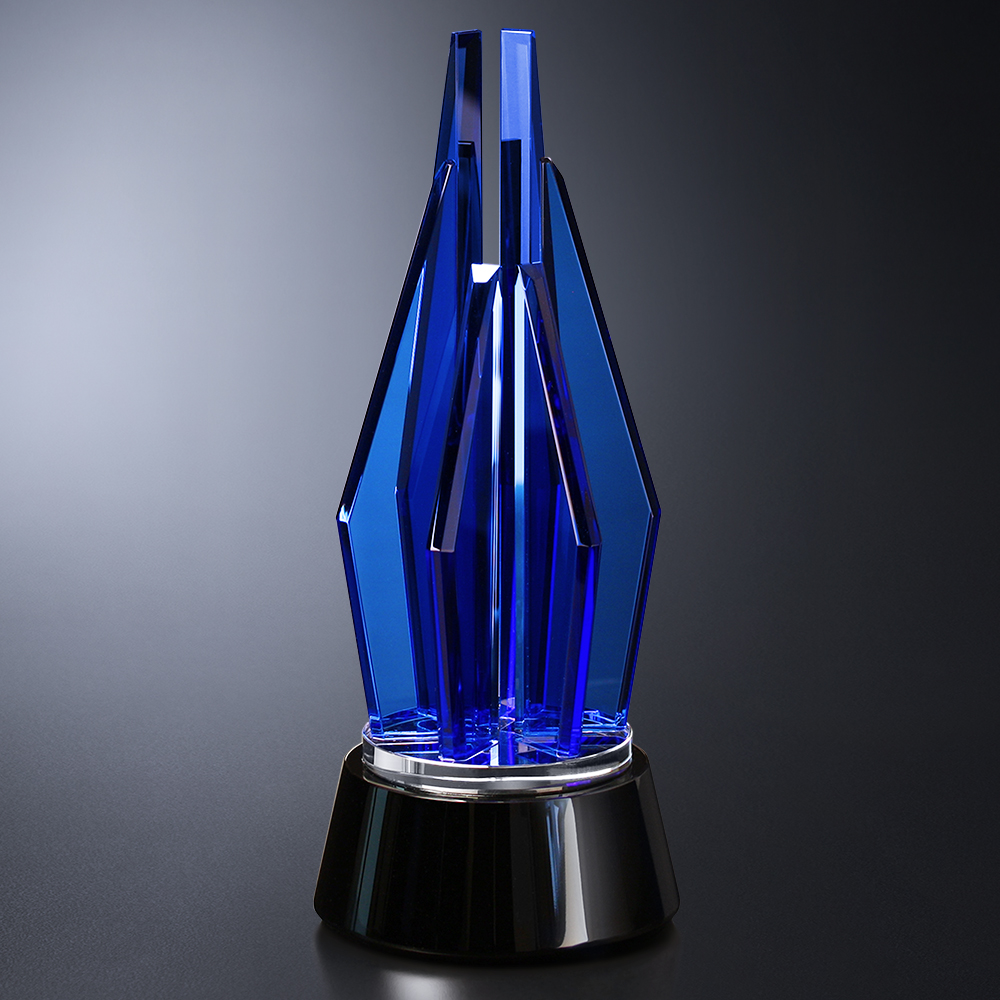 Vector Indigo Award 8