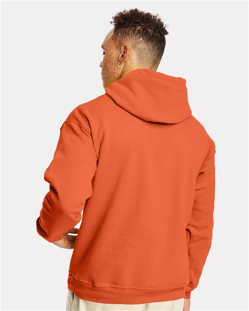 Unisex EcoSmart® Hooded Sweatshirt - P170 173