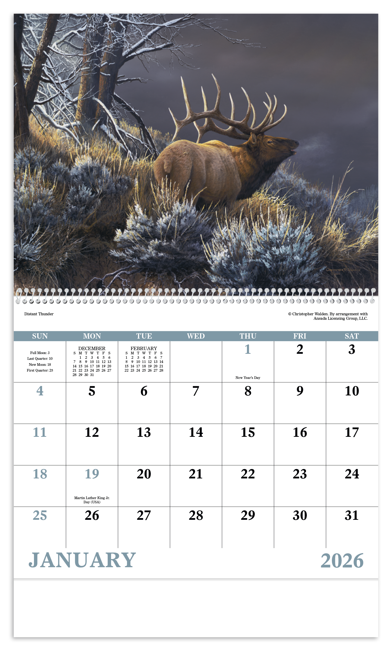 Good Value™ Wildlife Canvas - Spiral Calendar 39