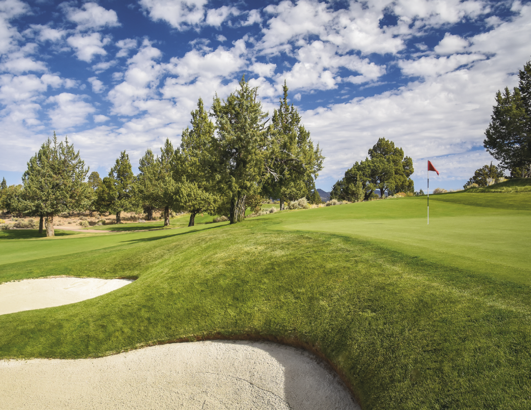 Triumph® Calendars Golf Calendar 35