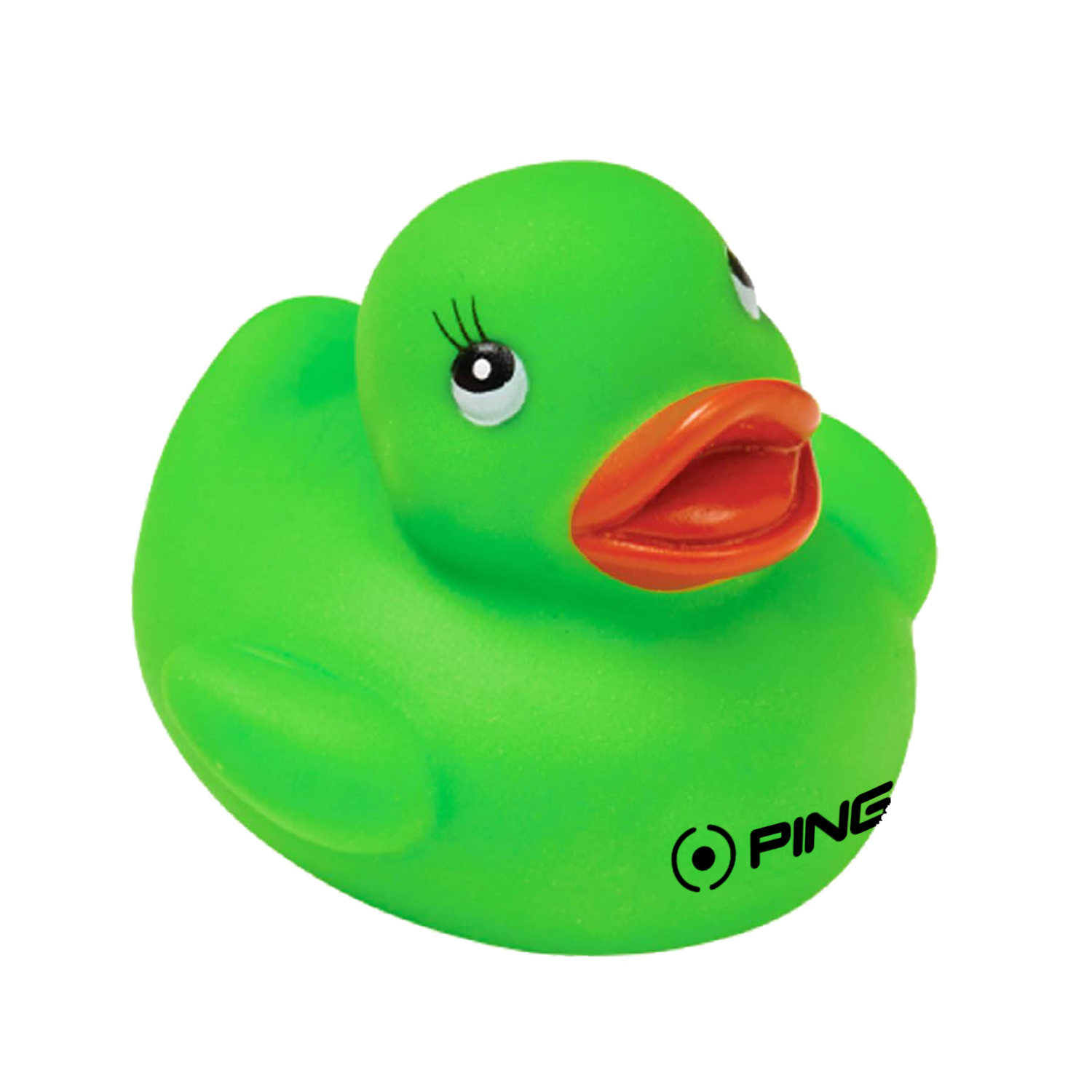 Colorful Duck 17