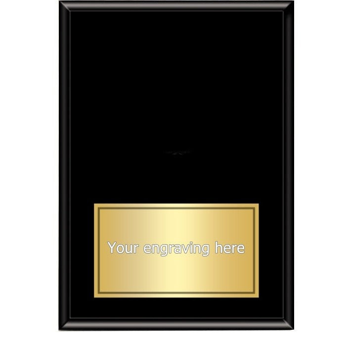 Three Dimensional Medallion Plaques 2