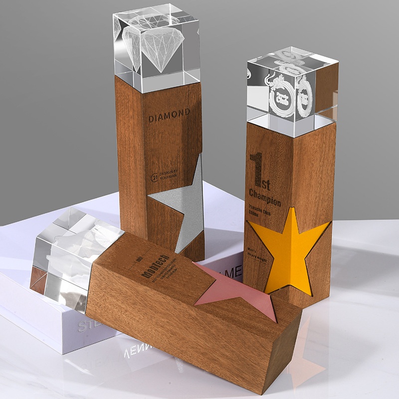 Metal and Wood Crystal Award 6