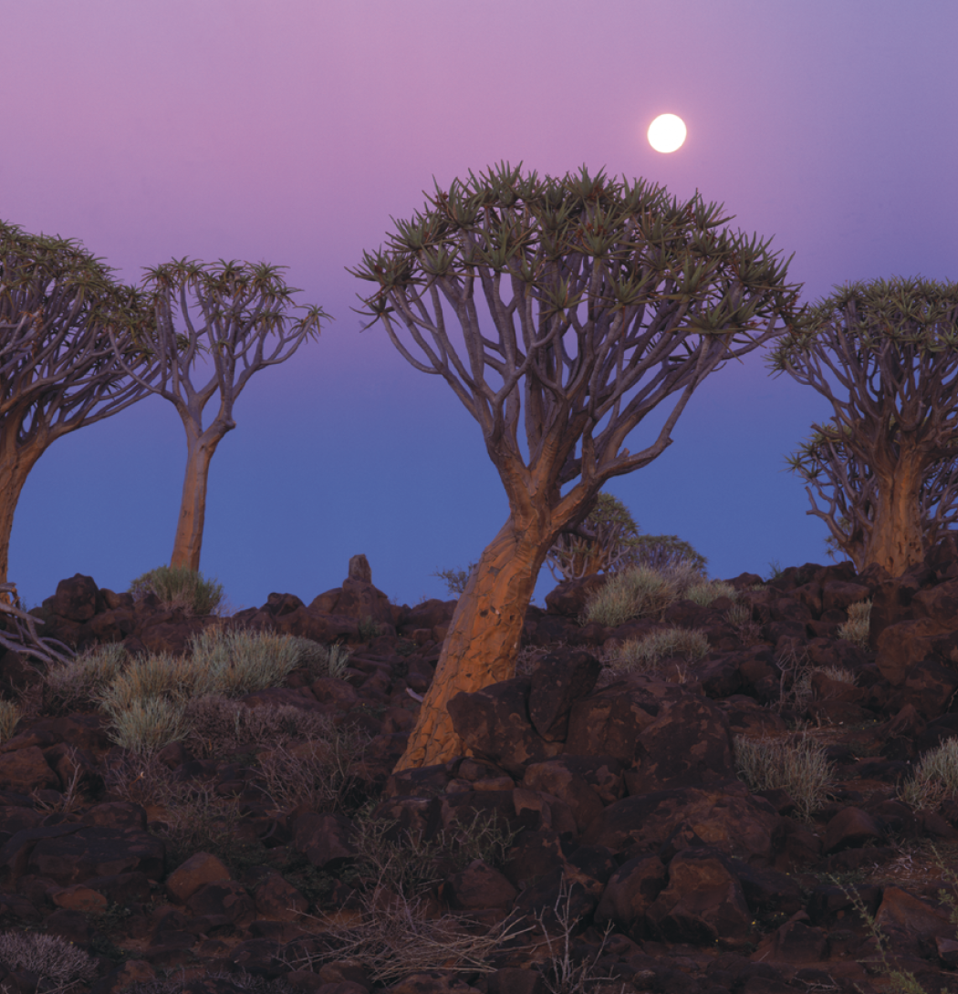 Triumph® Calendars World Scenic Calendar 9