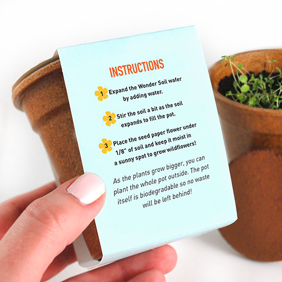 Flower Power Seed Paper Sprouter Kits 3