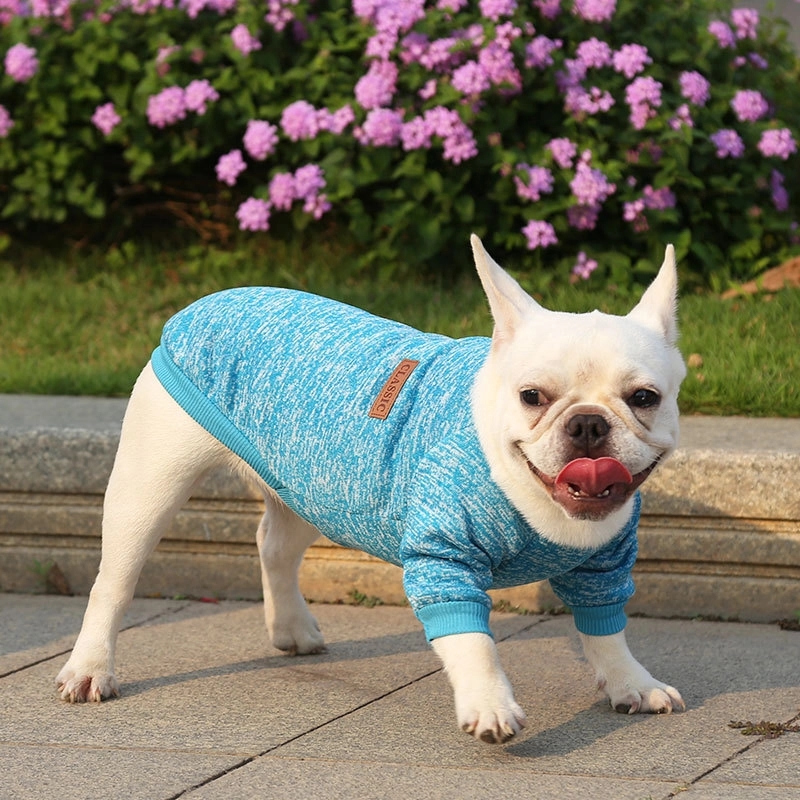 Letters Winter Pet Dog Hoodies Cotton Warm Clothes 5