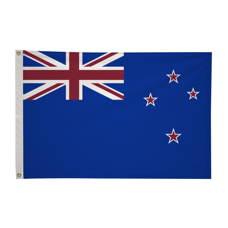 2' x 3'International Flag 196