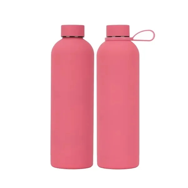Stainless Steel Water Bottle with Insulated 17 oz 10
