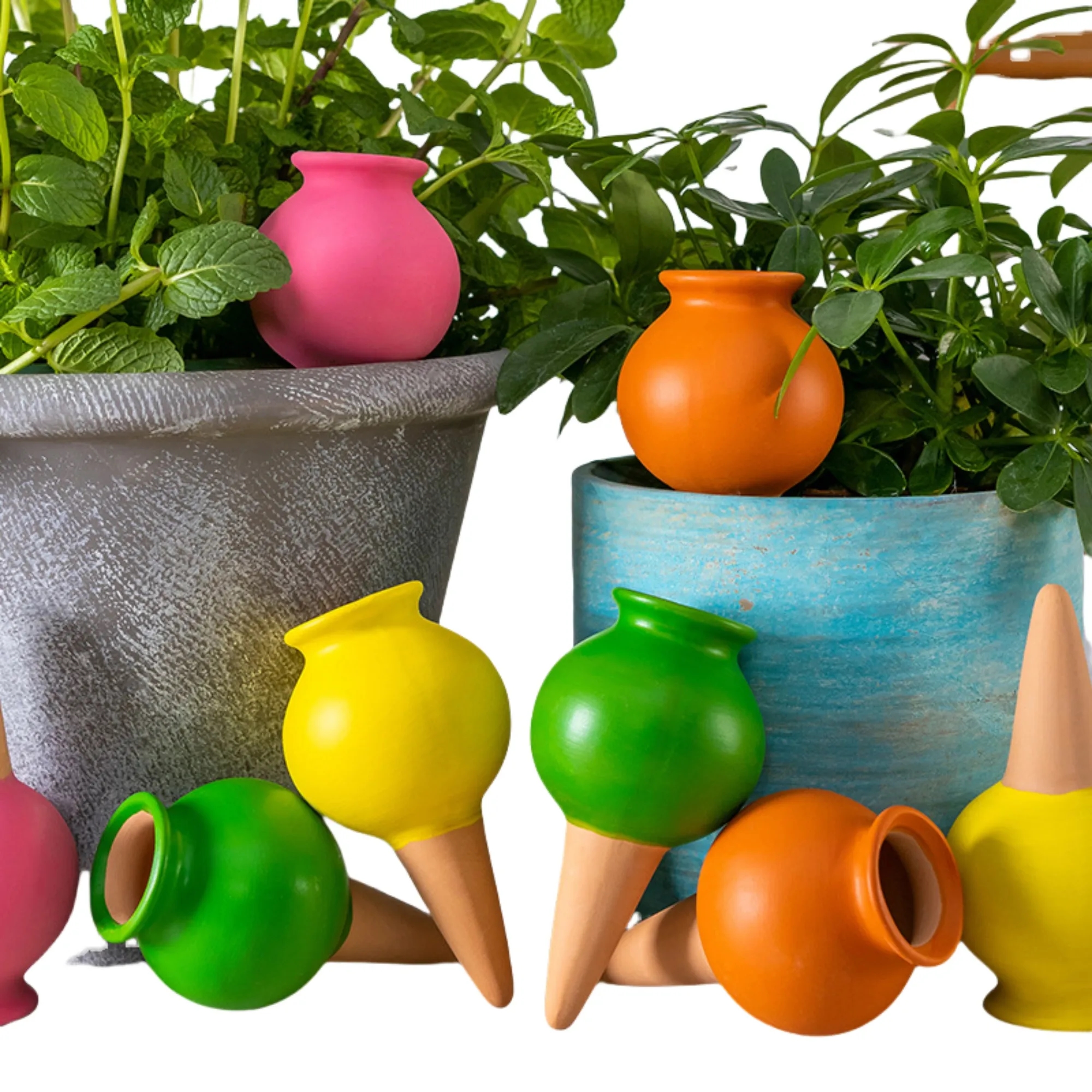 Premium Terracotta Plant Watering Globes 17