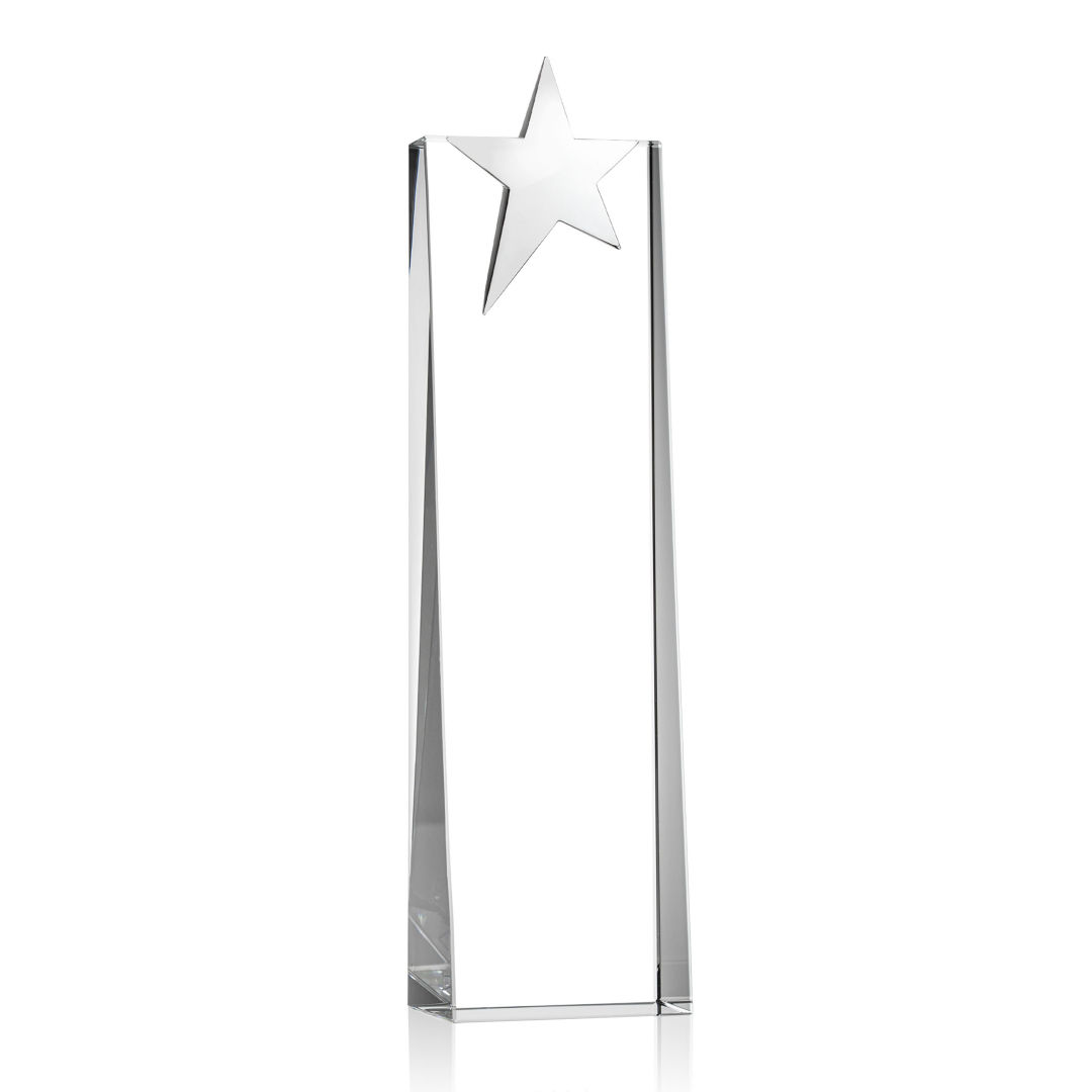 Fanshaw Silver Star Award 15