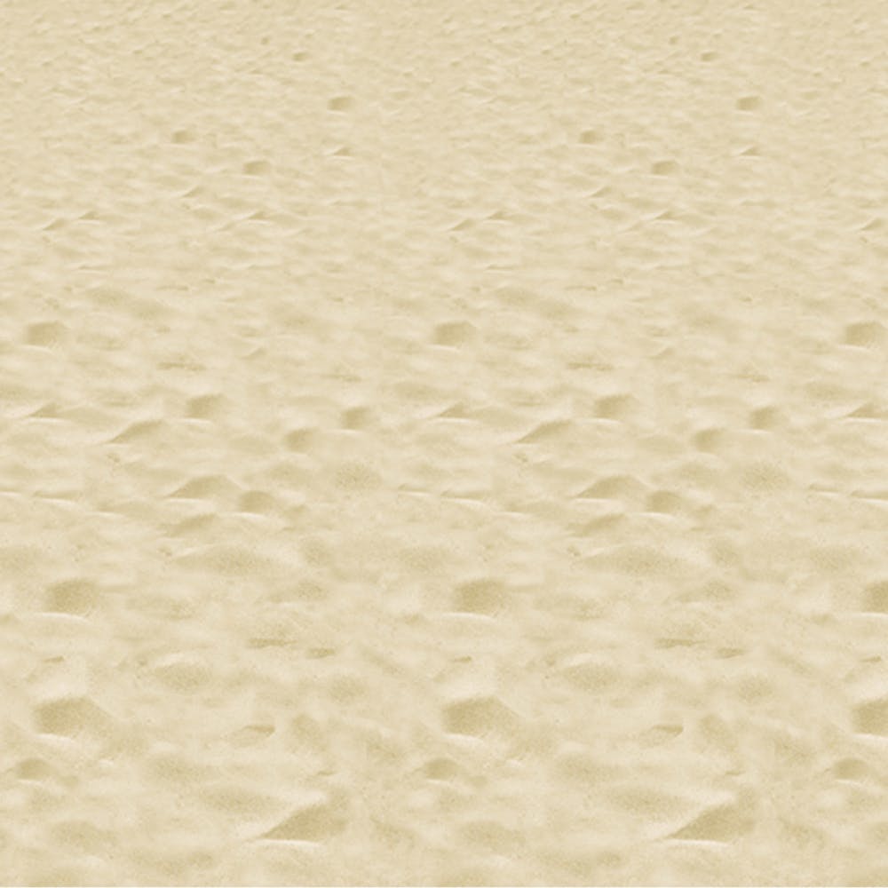 Beach Backdrops - 4' x 30' 2