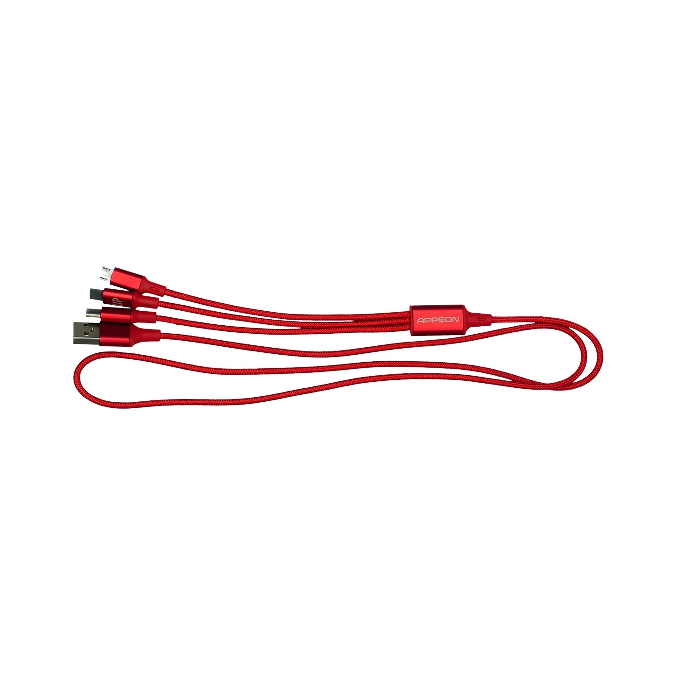 3' METALLIC 3-IN-1 CABLE WITH TYPE C US 11