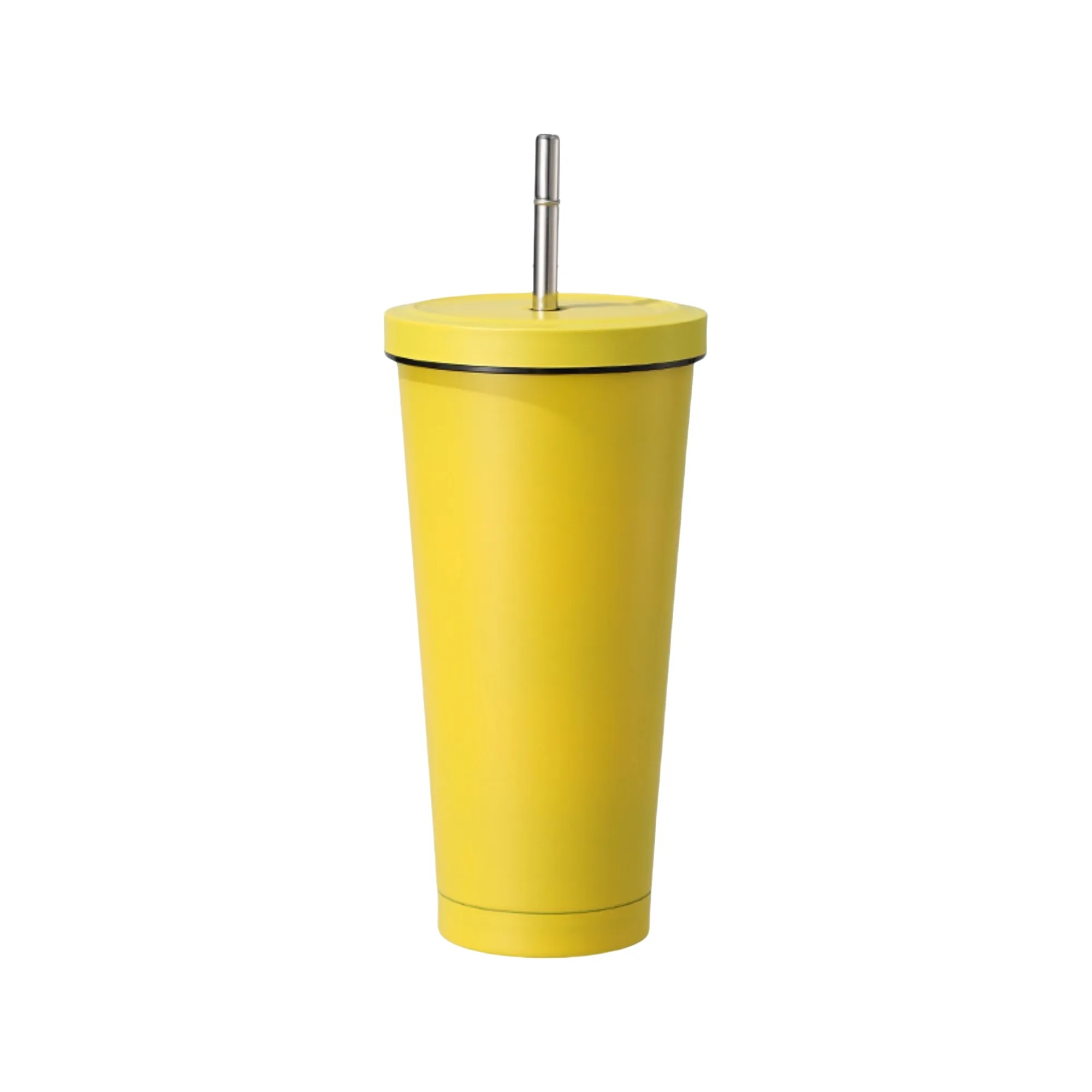 25oz 304 Stainless Steel Large-Capacity Vacuum Straw Cup 19