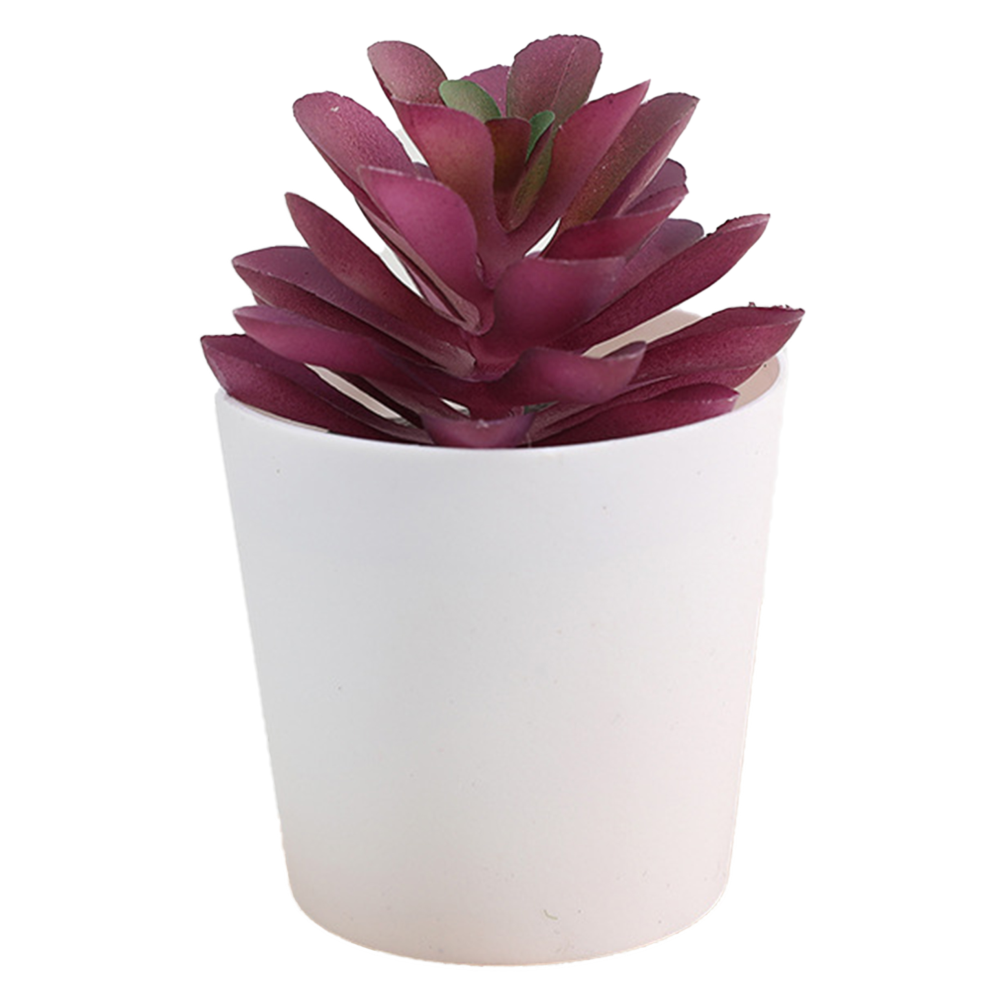 Mini Succulent Potted Plant Set for Home Decor 8