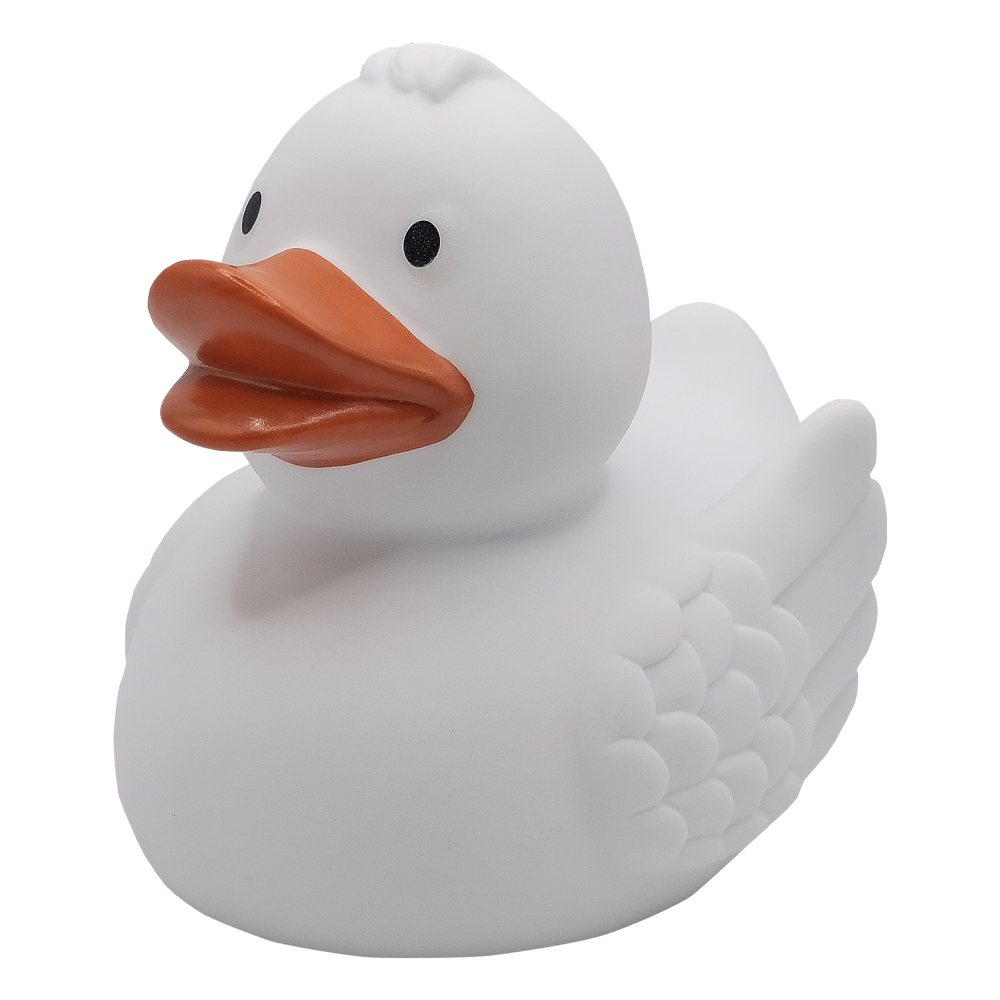 Duck With Wings 18