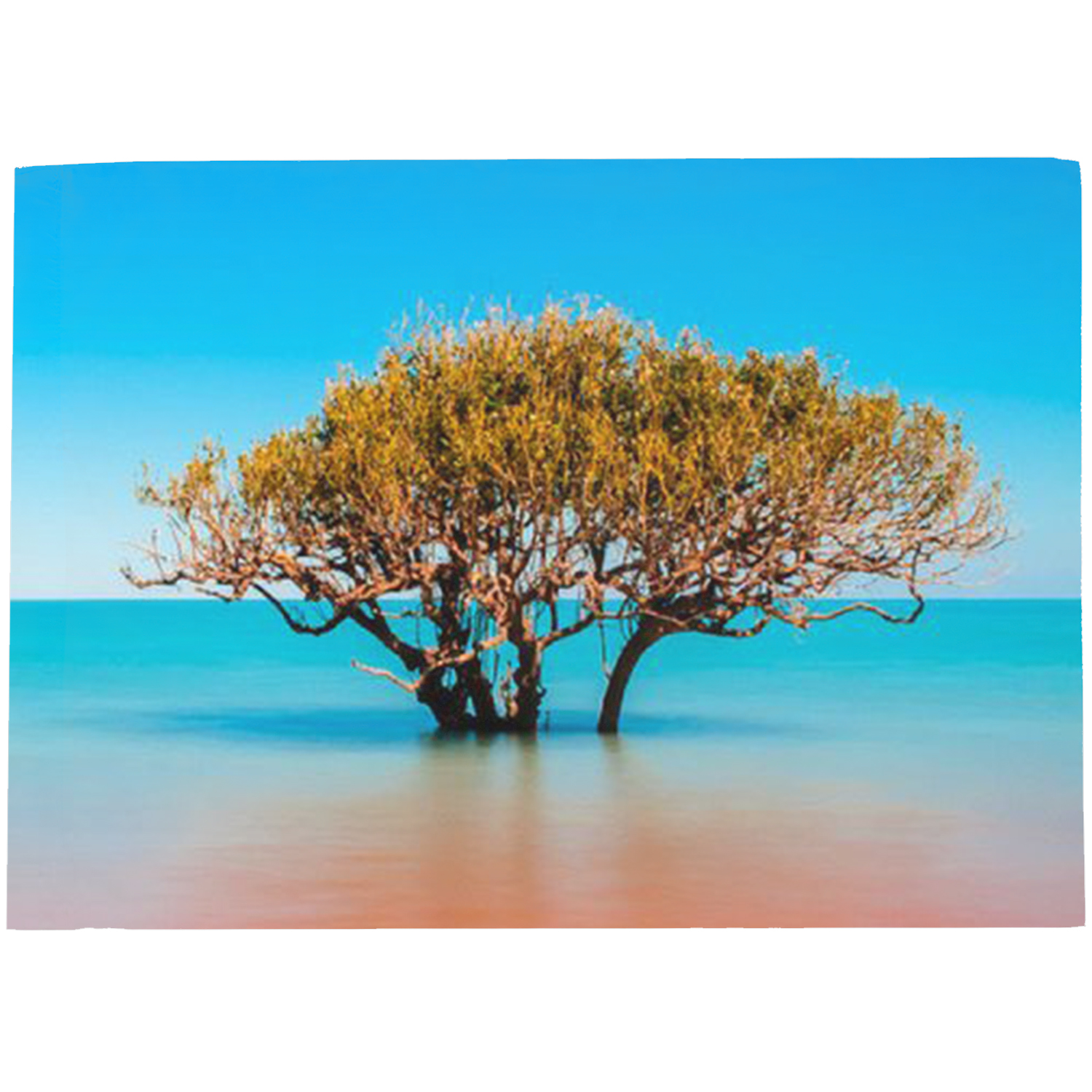 20" x 30" 110 GSM Sublimated Brushed Micro-Peach Pillowcase 4