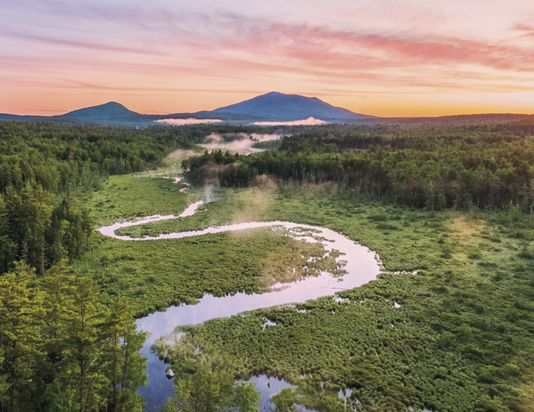 HotLine® Products Catholic Reflections Appointment Calendar - Stapled 66