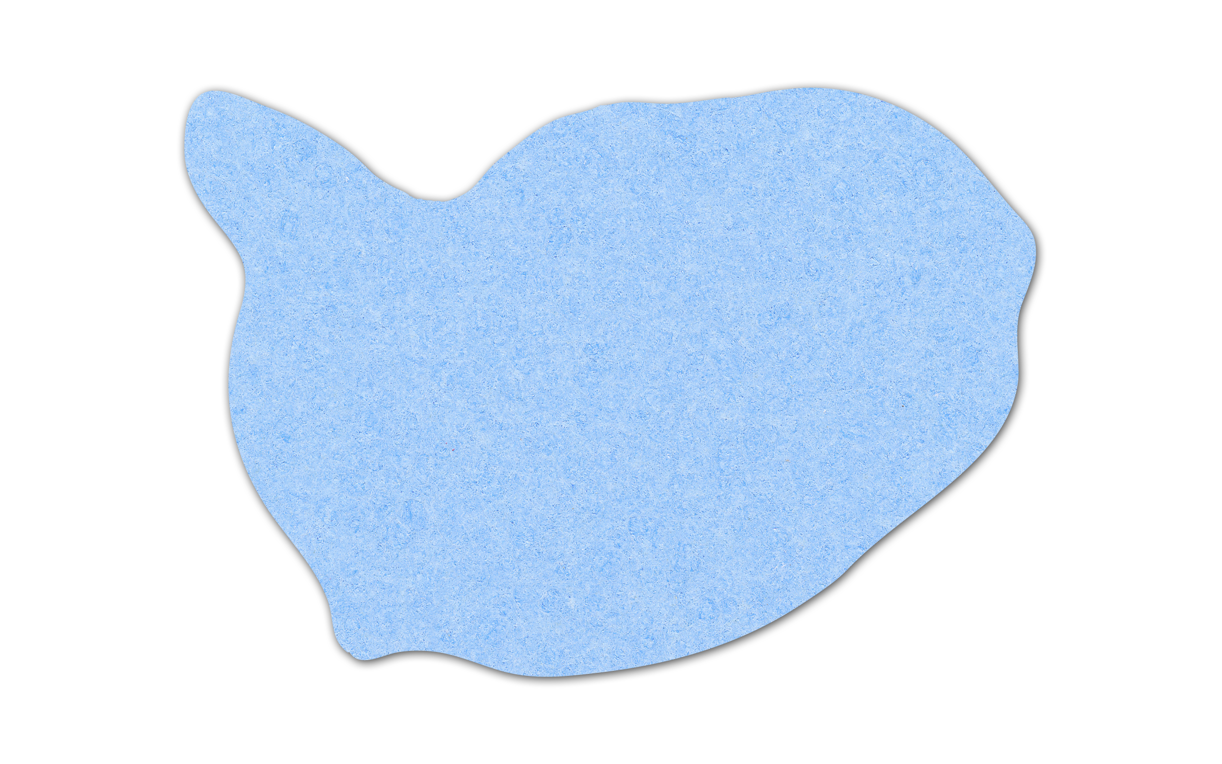 Whale Compressed Sponge 3