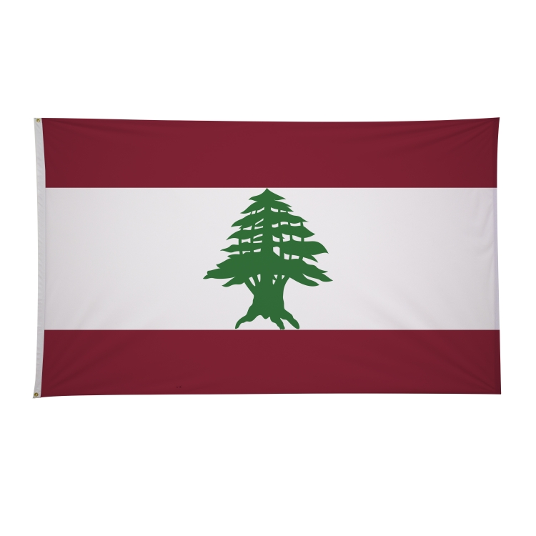 6' x 10' International Flags 213
